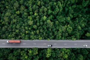 The Race for Net Zero by 2050